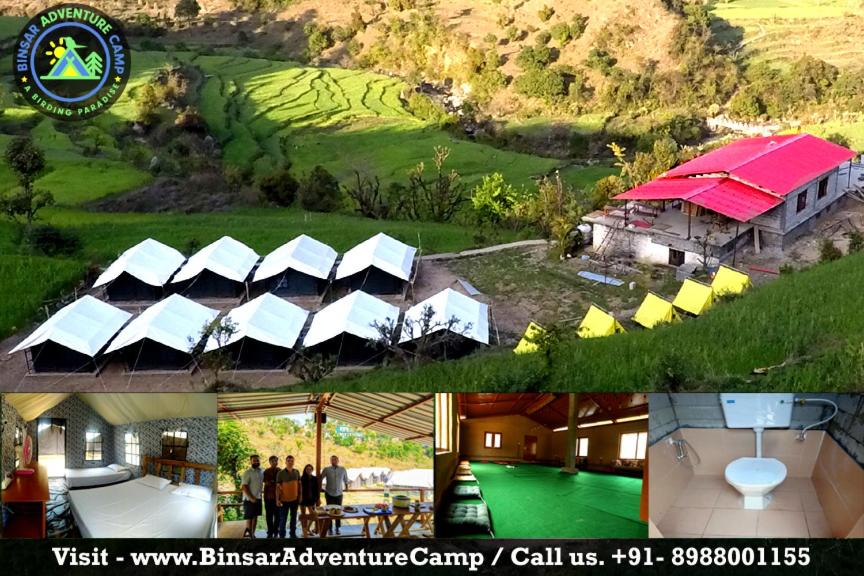 Vijaypur Other | Binsar Adventure Camp