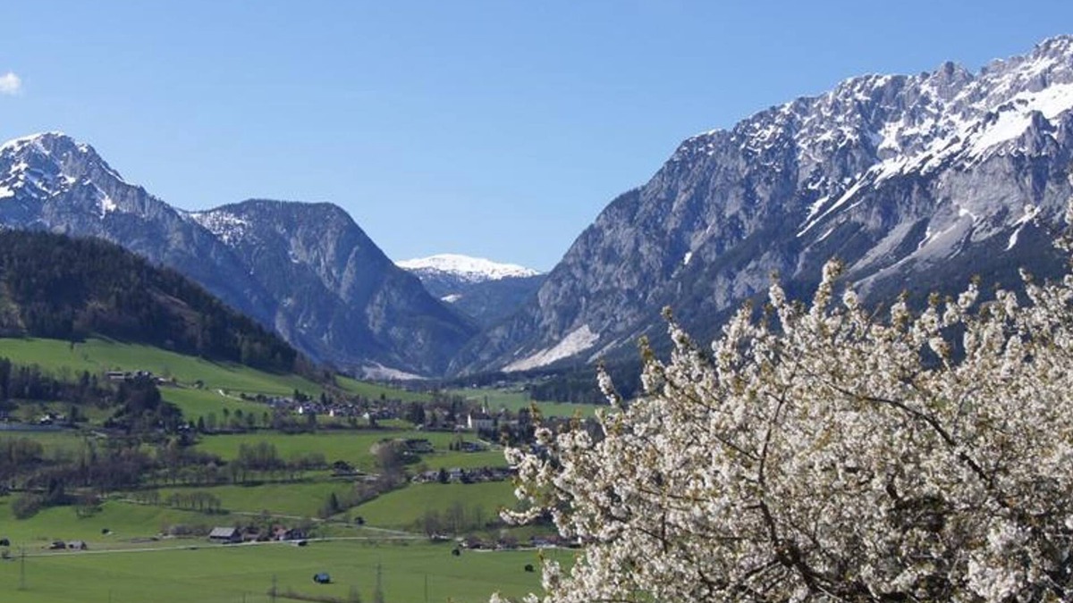 Solk Other | Bio-Bauernhof Greiml - apartment/apartment, shower or bath, WC, 3 bed.