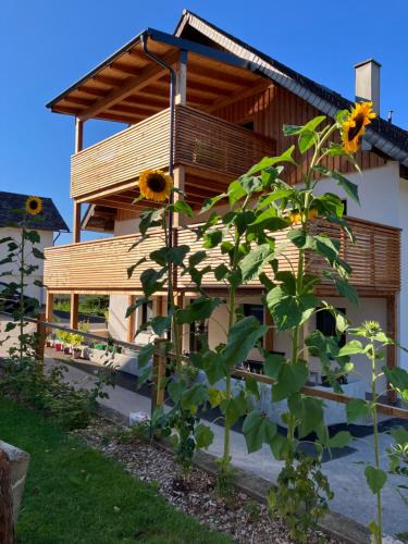 Aurach am Hongar Apartment | Biohof Auinger, der Tiererlebnishof