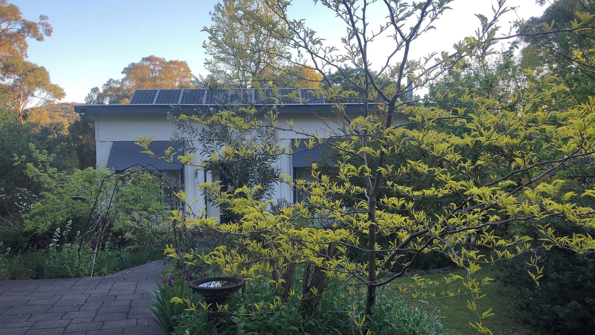 Woori Yallock Cottage | Bird Hill - A Garden Retreat in the Yarra Valley - Get Up Close to Native Birds