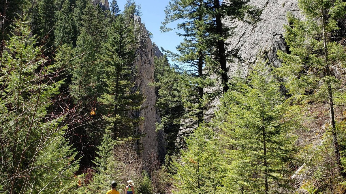 Helena Cabin | Birders delight! Beautiful hiking! Mountain biking! Fishing!