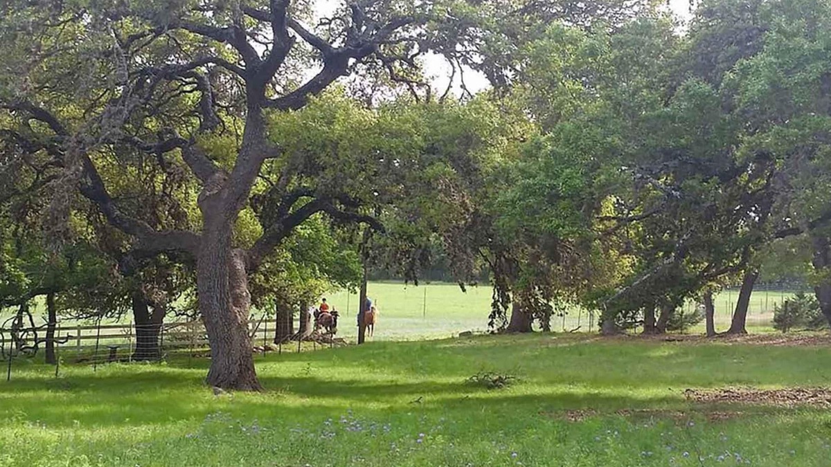 Boerne Cabin | BirdHouse Suite @ HomeAway Ranch