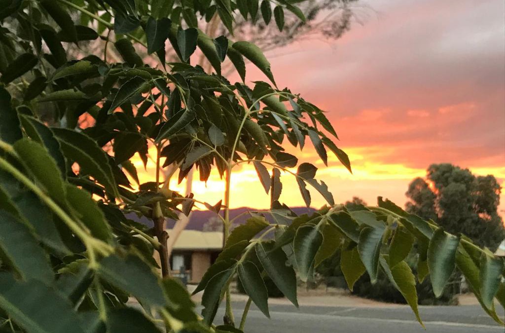 Quorn House | Birdsong Gardens