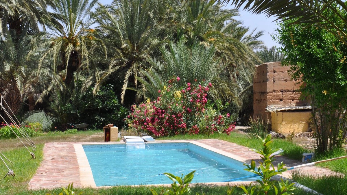 Ouijjane Other | Bivouac Sous les palmiers bleus