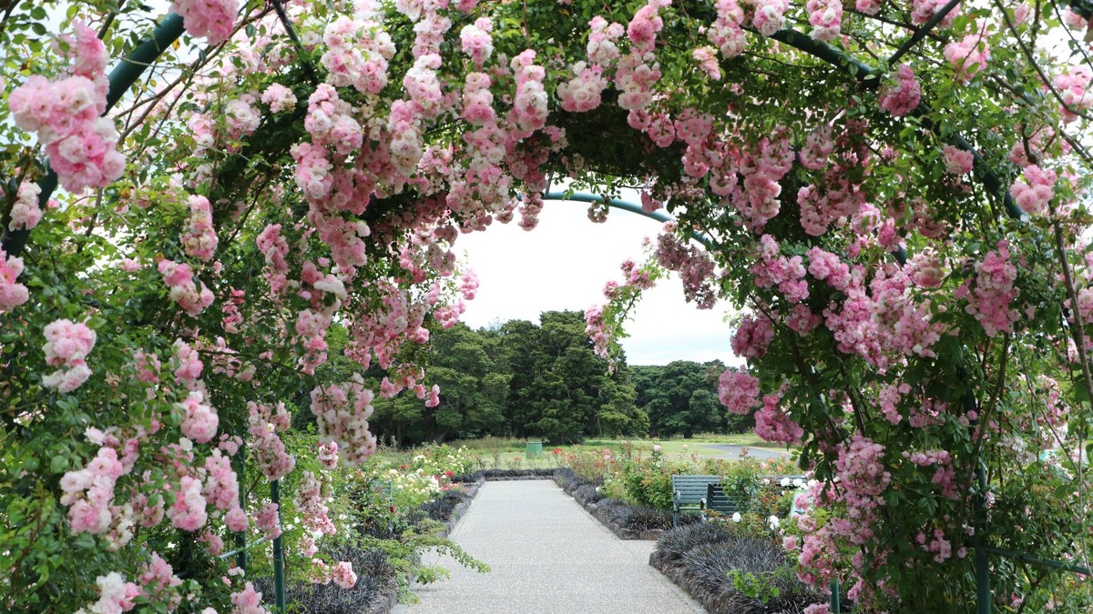 Pukekohe Hotel | Bk's Counties Motor Lodge