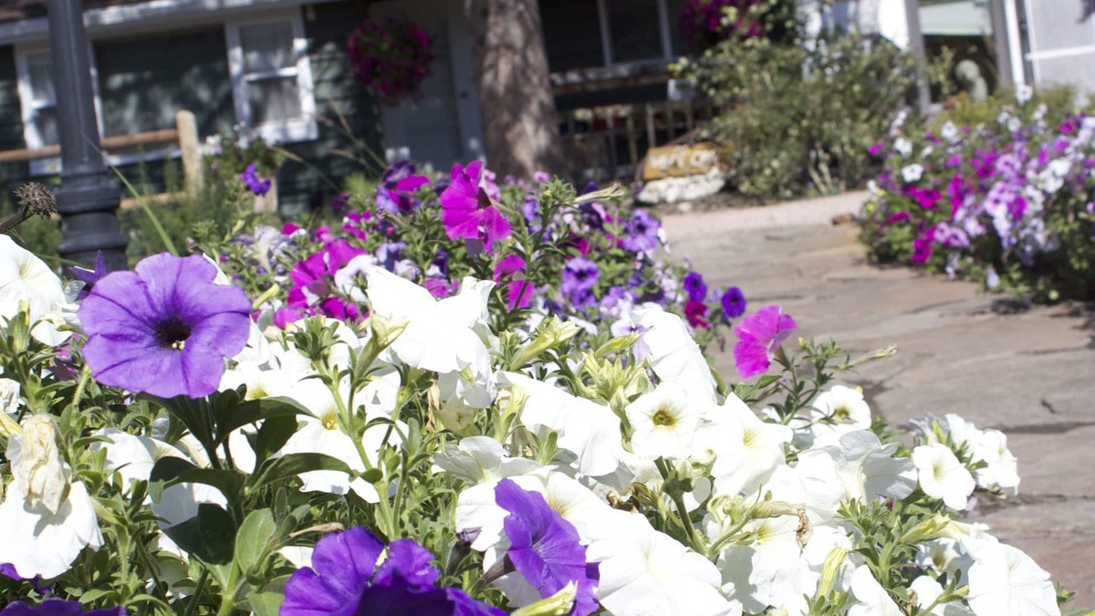 Hill City Other | Black Elk Resort Cottages and RV Park