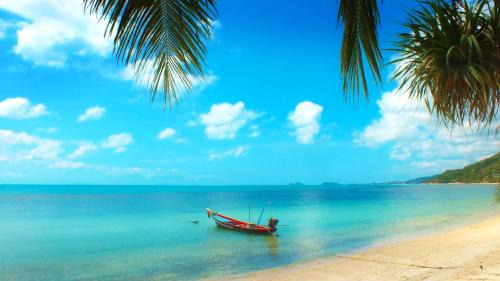 Haad Rin Resort | Black & White Bungalows