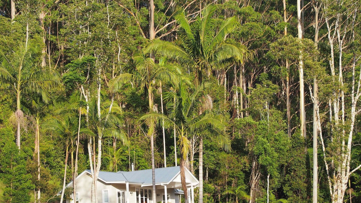 Whian Whian Cottage | Blue Fig Cottage @ Nightcap Ridge