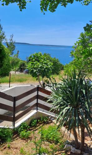 Miholascica Apartment | Blue&Green Apartment