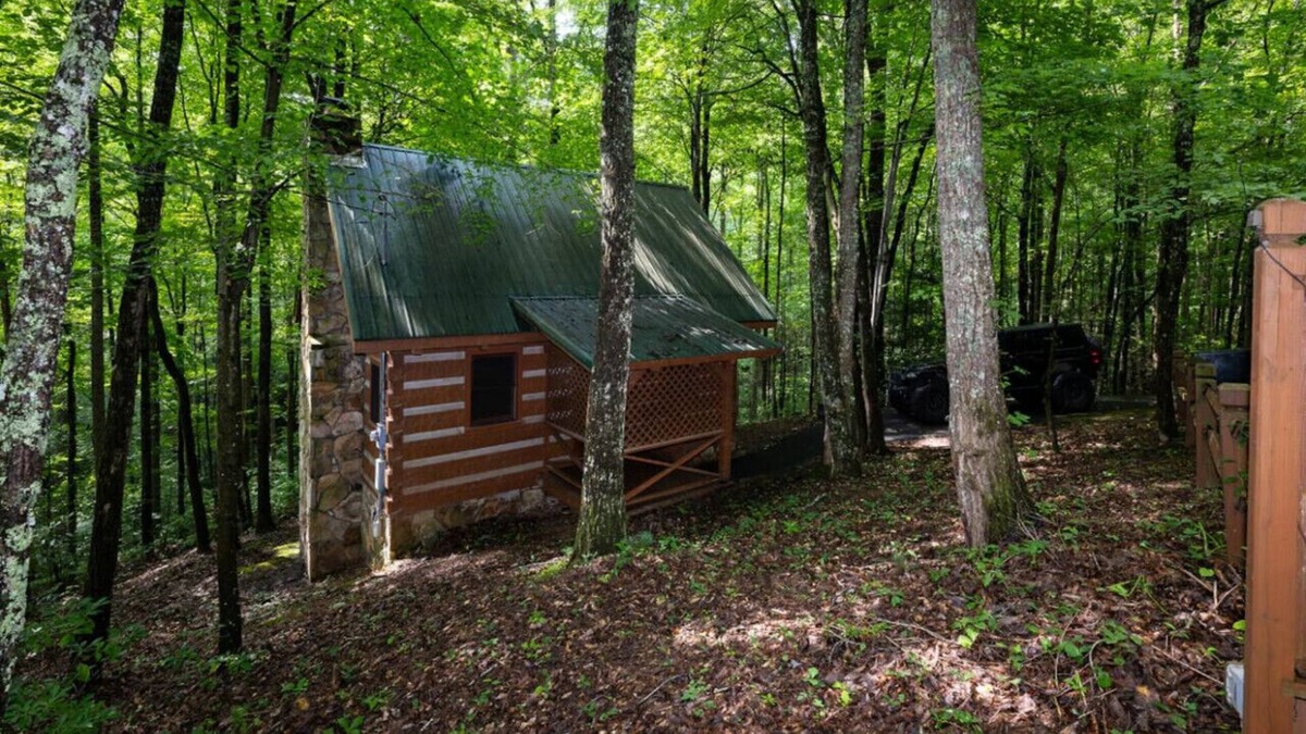 Cosby Cabin | Blue Heaven-Quaint, cozy, authentic log cabin