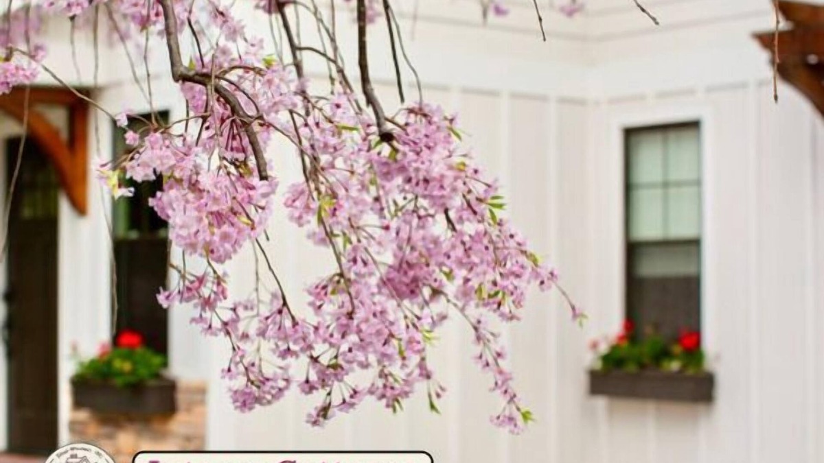 Black Mountain House | Blue Ridge Getaway & Spa ~ King | Sauna | Walkable