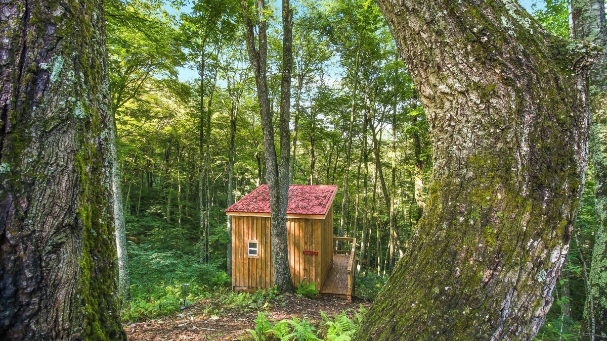 Laurel Springs RV Rental | Blue Ridge Parkway/Off-Grid Campground/Two Cabins