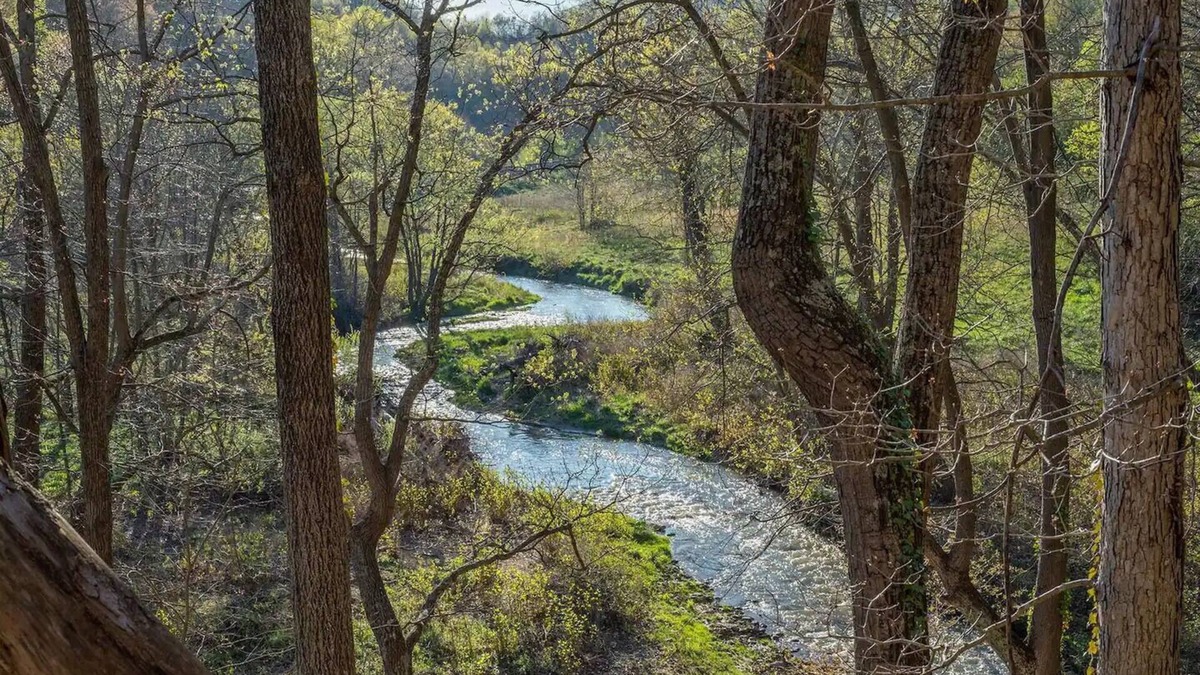 Candler Cabin | Blue Ridge Scenic Cabin – Cozy Mountain Escape at Engadine Inn & Cabins