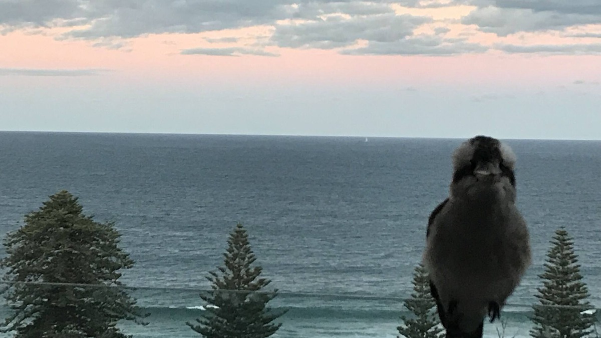 Avoca Beach Villa | Blue Seas Villa, Sth Avoca Magnificent Beach & Ocean Views