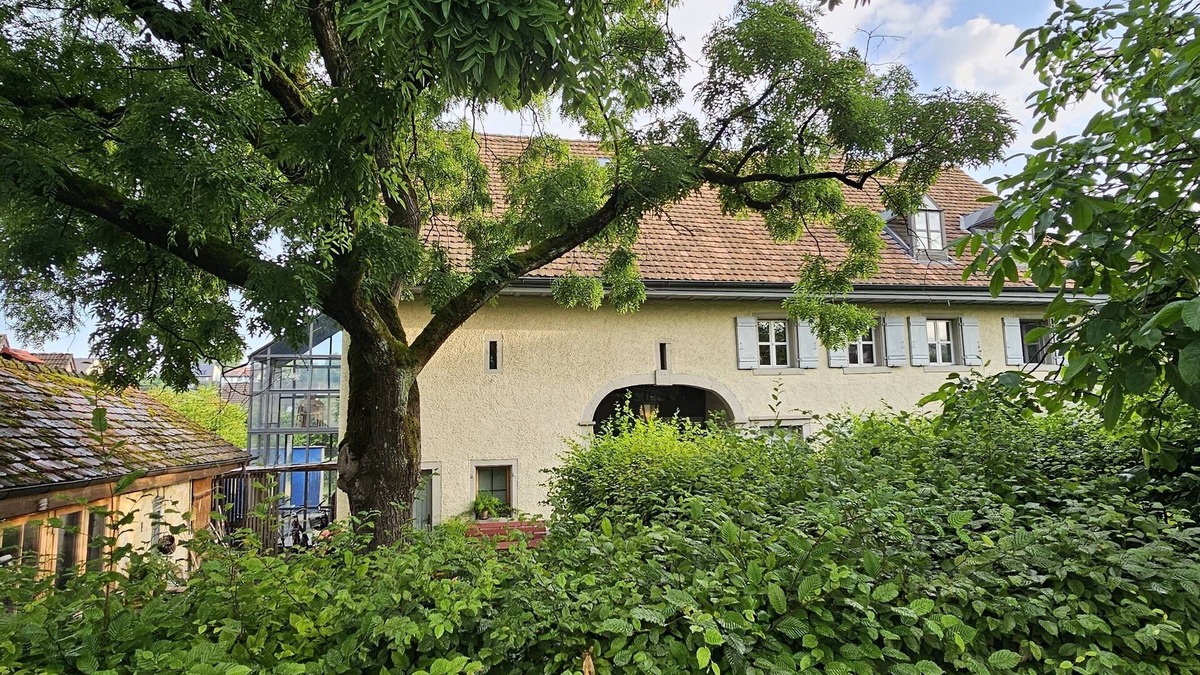 Gebenstorf Apartment | Blue Wall BnB - business apartments