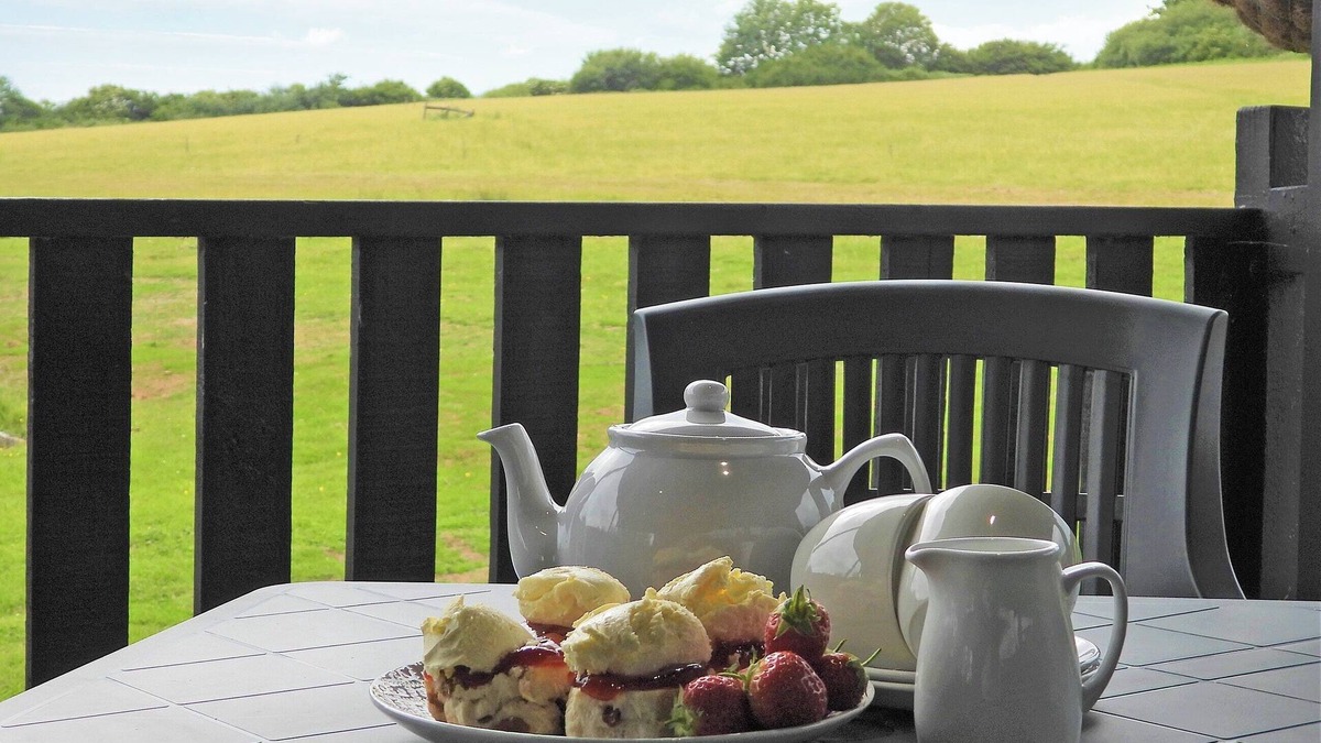 Beaworthy Cottage | Bluebell Lodge - UK13449