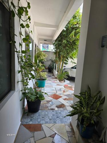 Paraiso Apartment | Blvd2rec