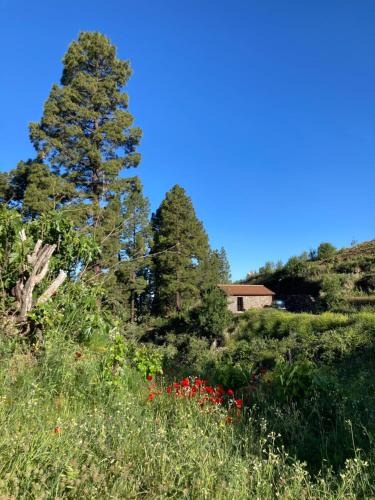 Puntagorda House | Bodega Linda