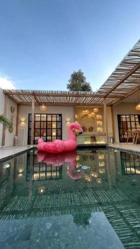 Mlati Villa | Bohemian Private pool Villa - Fulton Casablanca