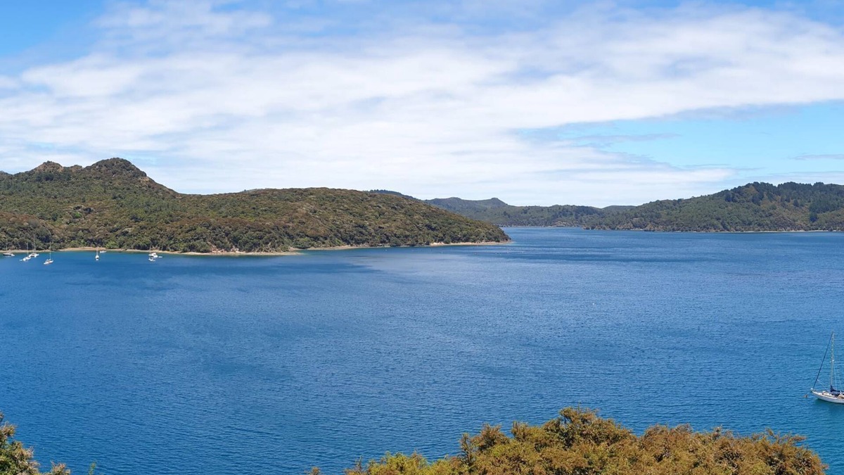 Great Barrier Island Apartment | Bohohill Apartment - Great Barrier Island Escape