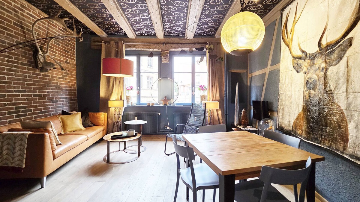 Colmar Centre Ville Apartment | Bois & Velours Équilibre Parfait Entre le Charme Alsacien et le Caractère Déco