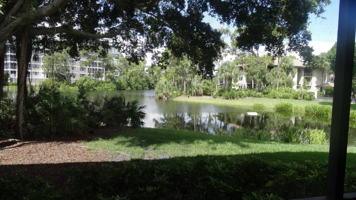 Bonita Bay Condo | Bonita Bay - Lake Frontage! Ground floor Bldg E
