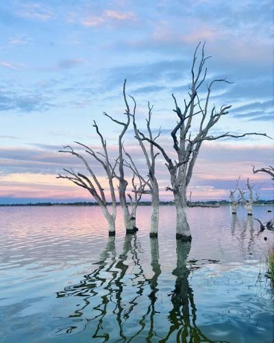 Barmera House | Bonney Shores