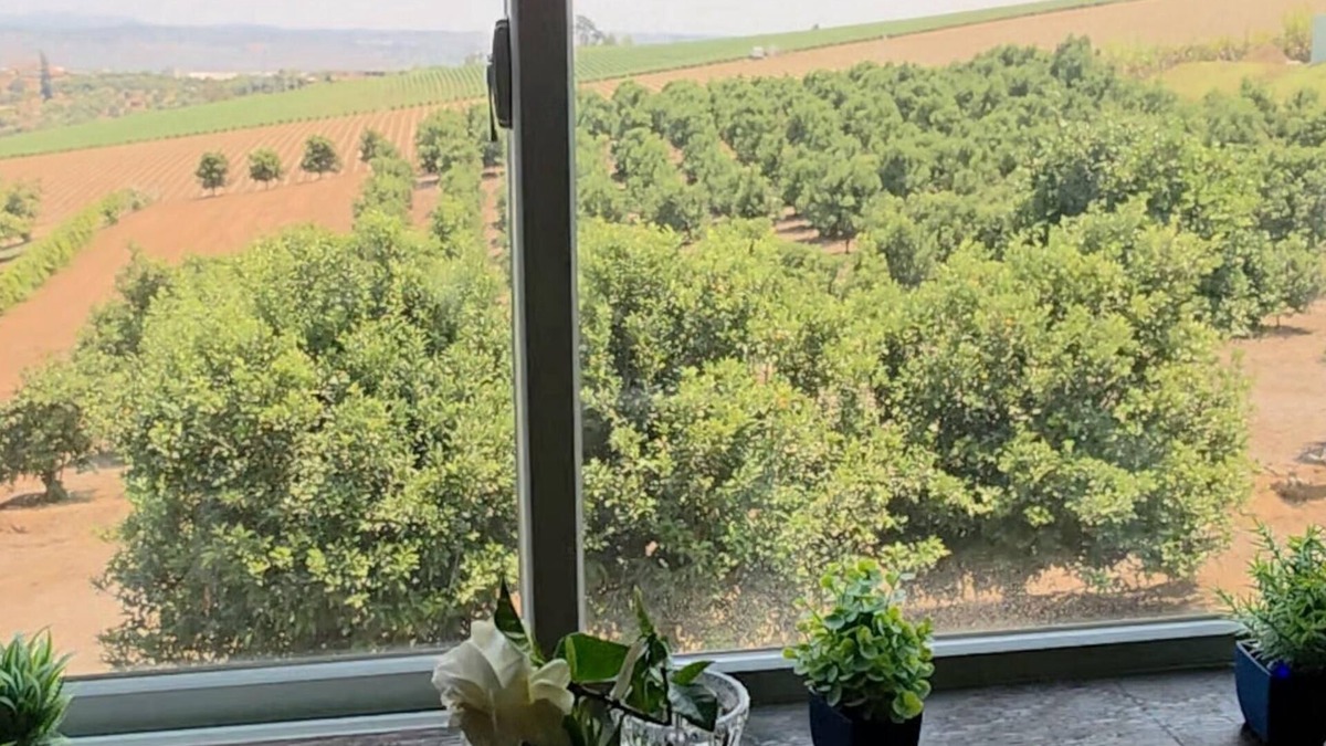 Bonsall House | Bonsall/Oceanside Treehouse Studio - Serene Farmstay with Cozy Balcony