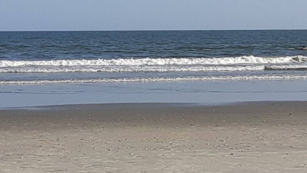 Red Hill House | Borders Coastal Carolina University 25 min from beach. Quiet neighborhood.