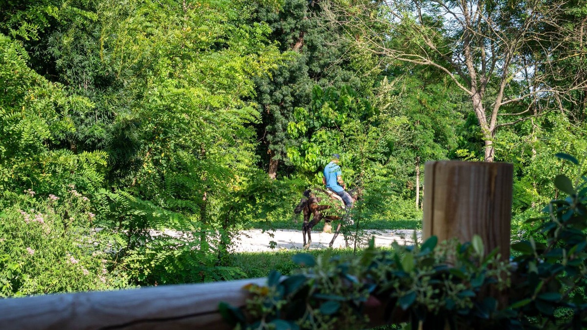 Sesto al Reghena Apartment | Borgo Stalis Resort by Interhome