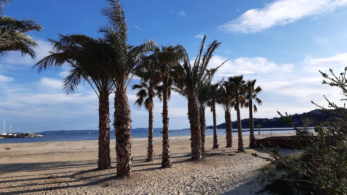 La Faviere Apartment | .Bormes les mimosas studio cabin 2pers .80m from the beach