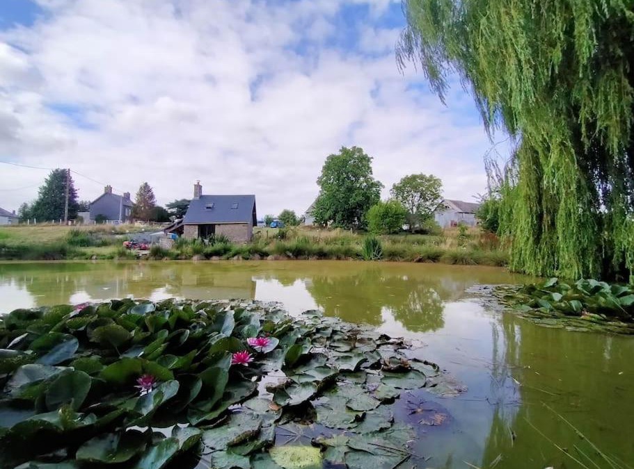 Basse-Normandie House | Bosny&Clyde : Havre de paix en campagne Normande