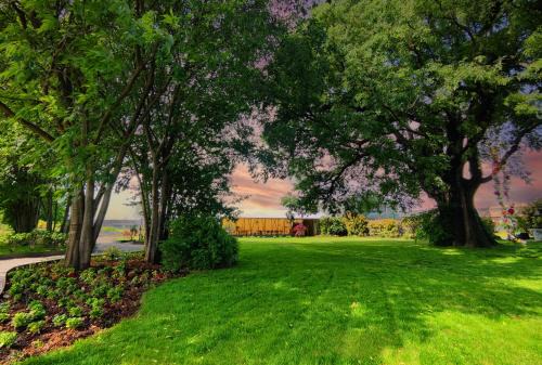 Montichiari House | Botanica Loft