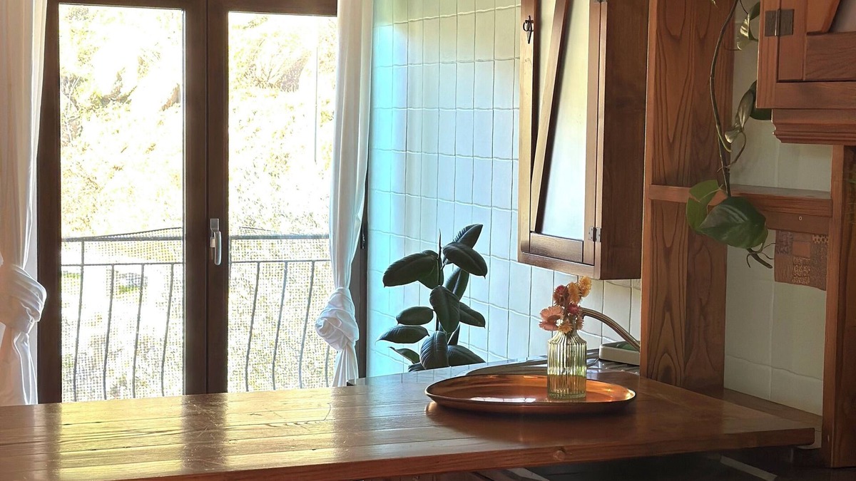 Oliveira do Hospital Apartment | Botanical Balcony Nest