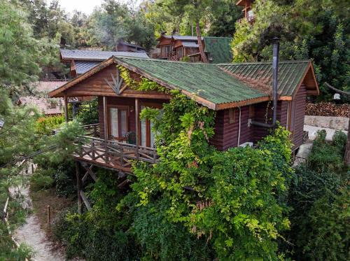 Karacaoren Resort | Botanik Göl Evleri