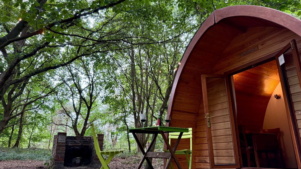 West Stow Cabin | Boudicca Pod