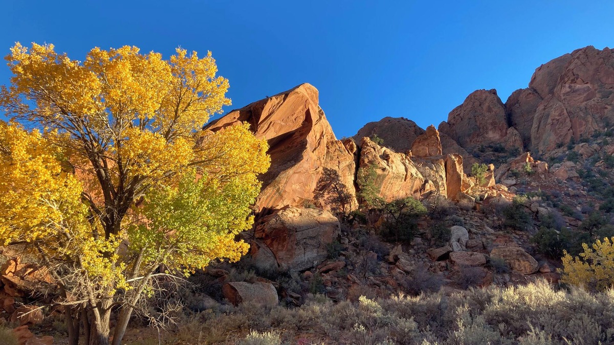 Boulder Cabin | Boulder Canyons Nano Cabin
