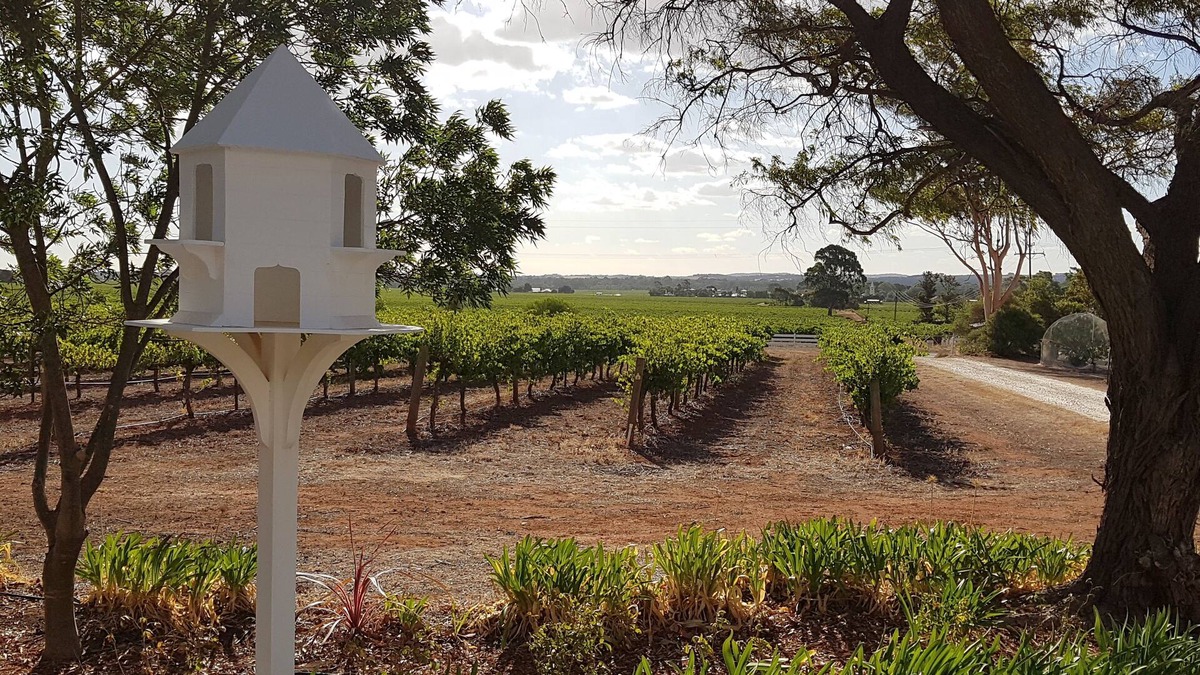 Penrice Cottage | Boutique accommodation peacefully set amongst you're own private vineyard