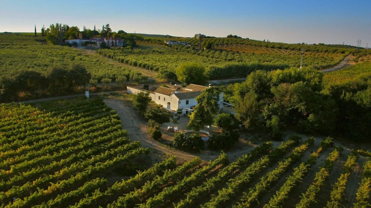 Montilla Cottage | Boutique winery with private pool, BBQ and Wifi Ideal for family relaxation.