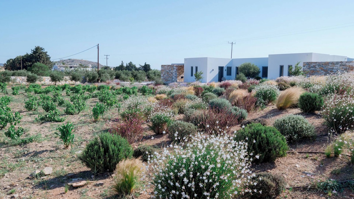 Piso Livadi Villa | Bracket House Paros Villa with Private Pool Sleeps 8