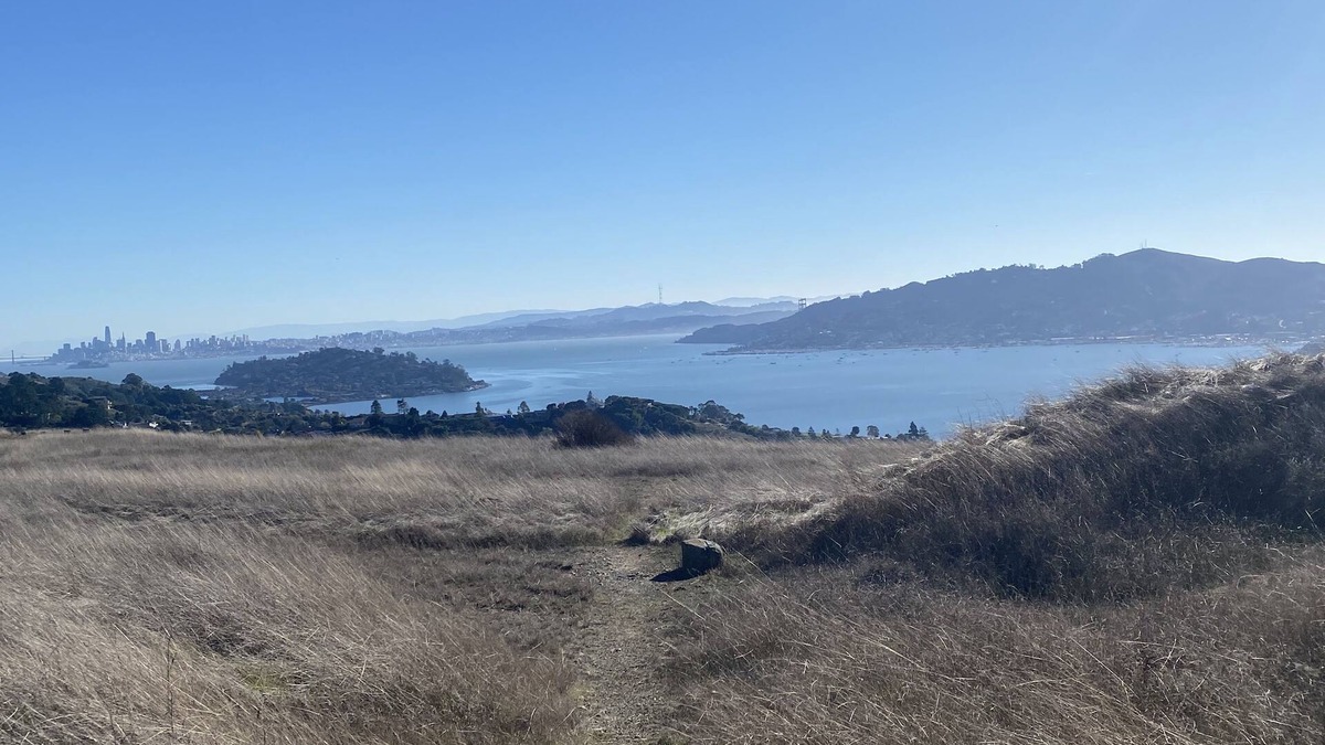 Corte Madera Cottage | Brand new, 1 bedroom cottage with view of San Francisco Bay.