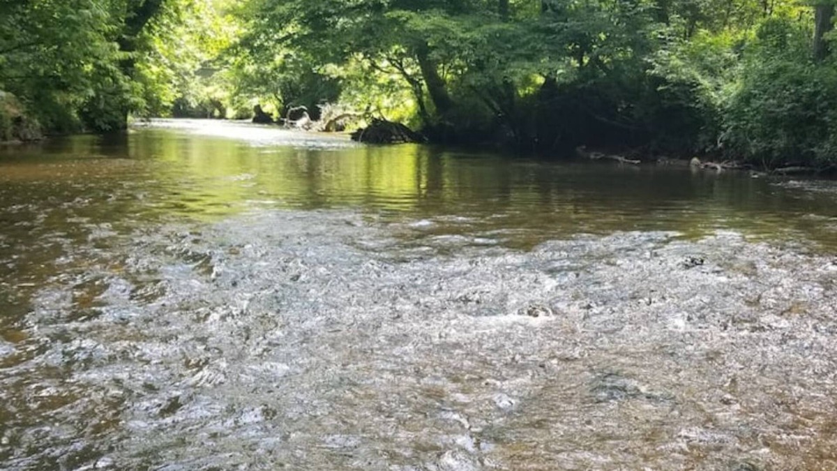 Suches House | Brand New-1 Bedroom Condo right on the Toccoa River