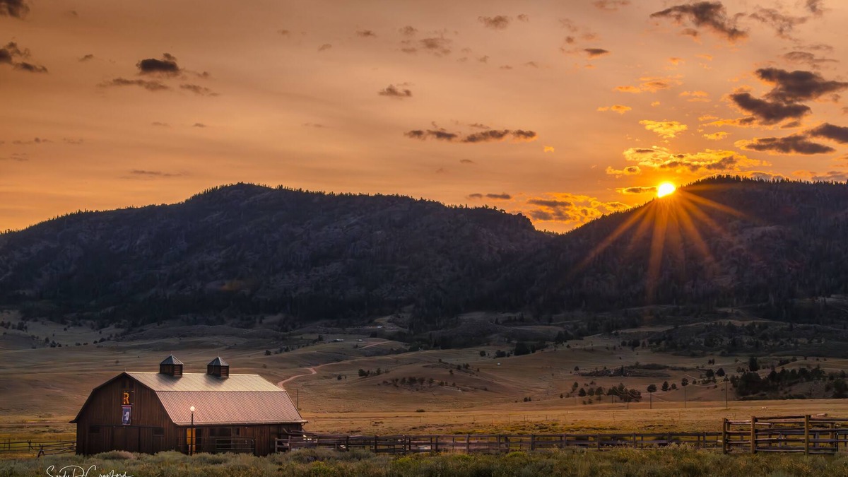 Albany Apartment | Brand new, fully remodeled tack room in a working barn at Rebel Ranch.
