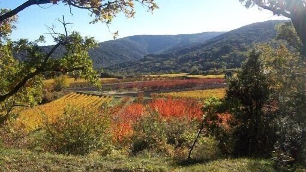 Methamis Other | Brand new gite in an authentic Provencal Mas, in south Ventoux
