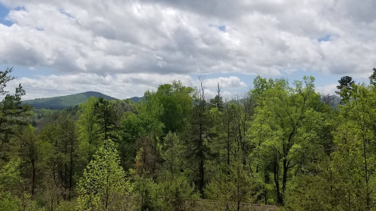 Alexander House | Brand new refresh! Comfy & fabulous views! Near Asheville and Weaverville.