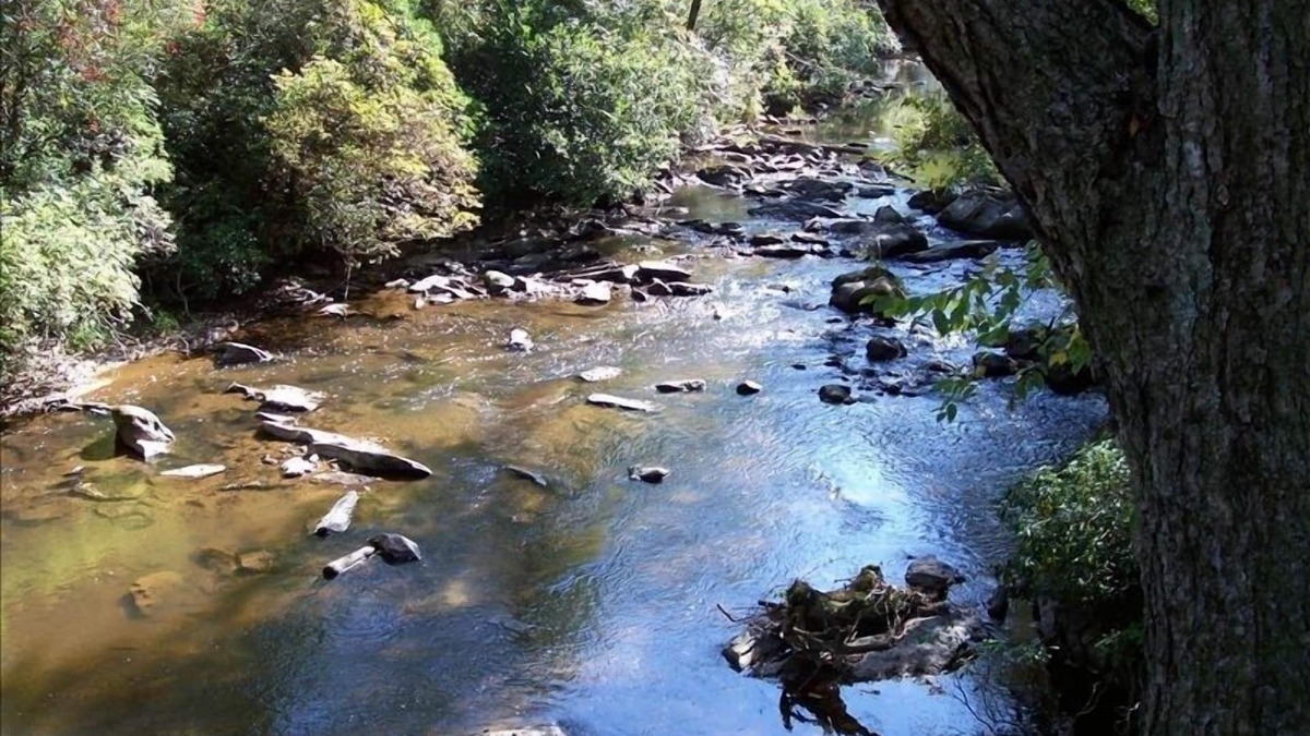 Brasstown Cabin | Brasstown Creek House-3 Mi. from John C. Campbell Folk School
