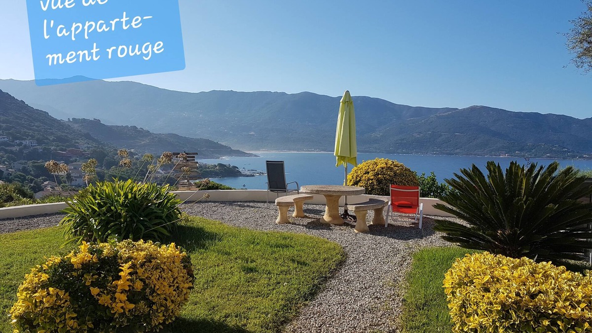 Tiuccia Apartment | BREATHTAKING VIEW ! Spendide T3 DRC a lot of CHARM and very quiet