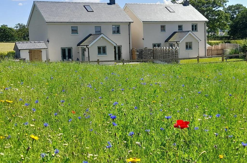Llandovery Apartment | Brecon Beacons Cottage with Stunning Country Views