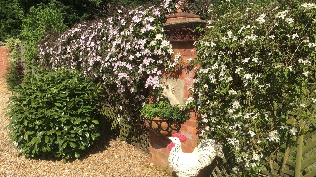 Manton Bed & Breakfast | Broccoli Bottom