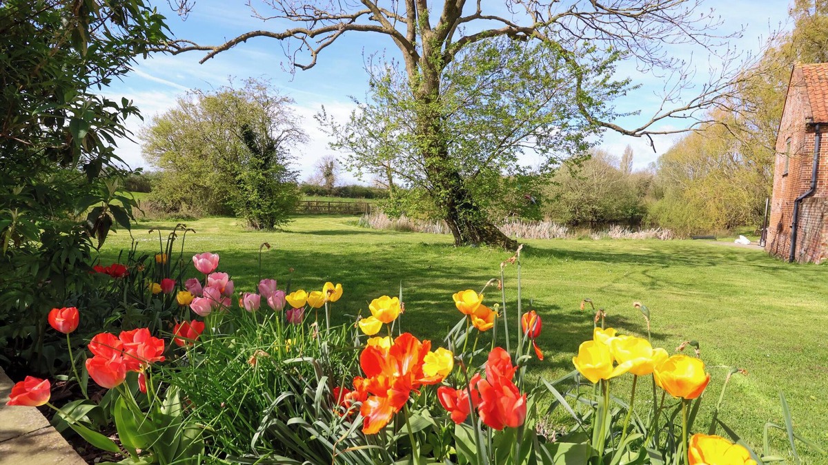 Harleston Cottage | Brook Farm
